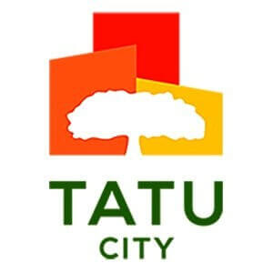 tatu-city.jpg